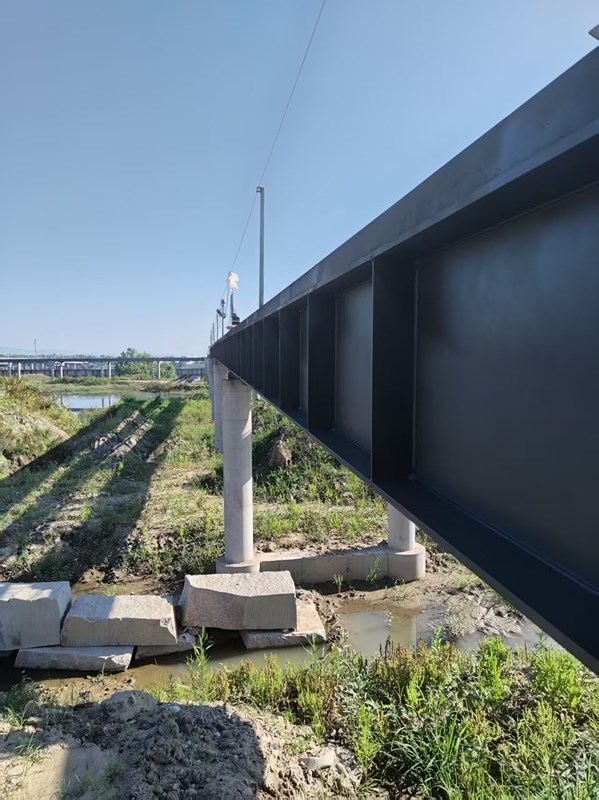 一码特精准资料