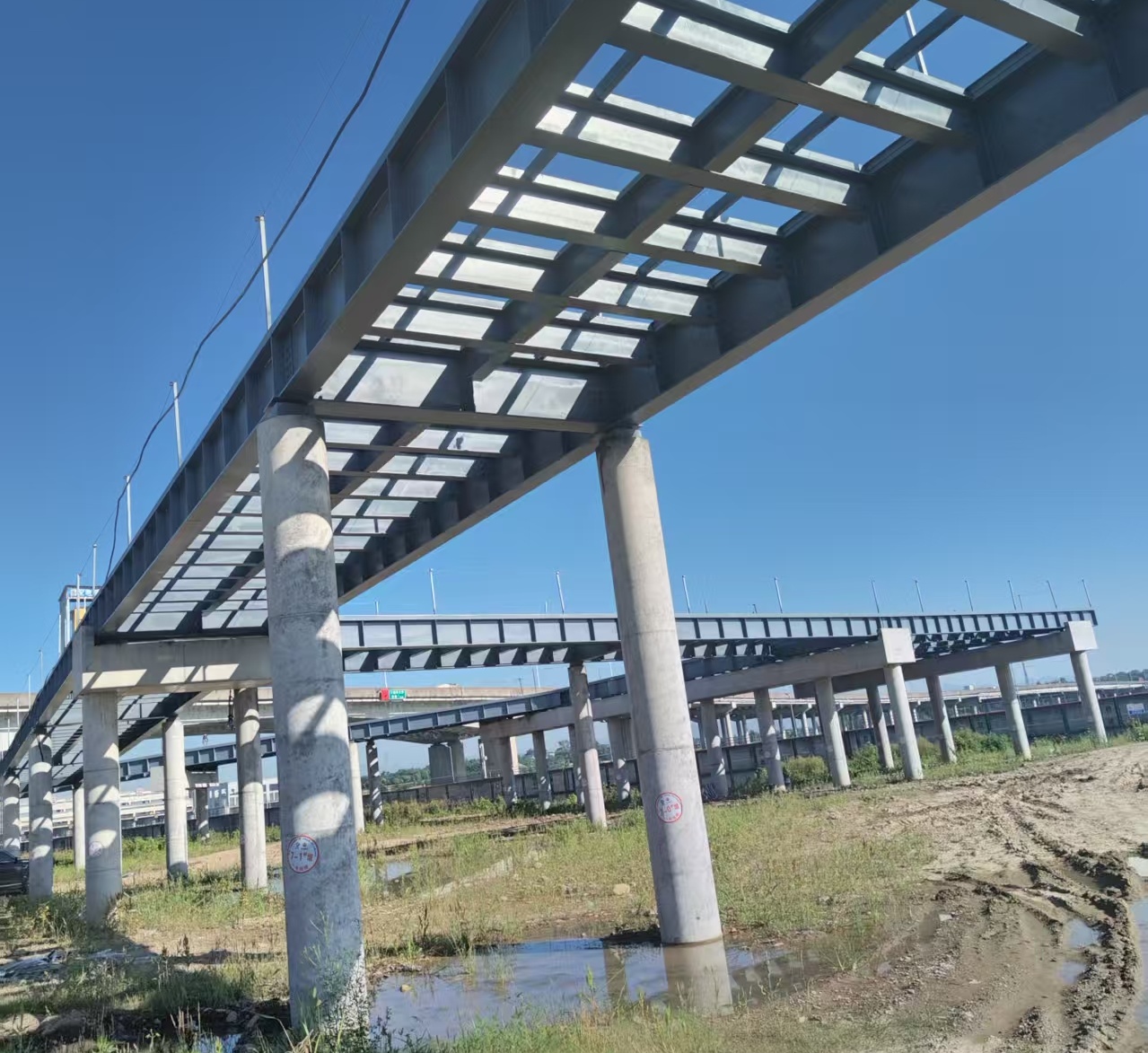 一码特精准资料