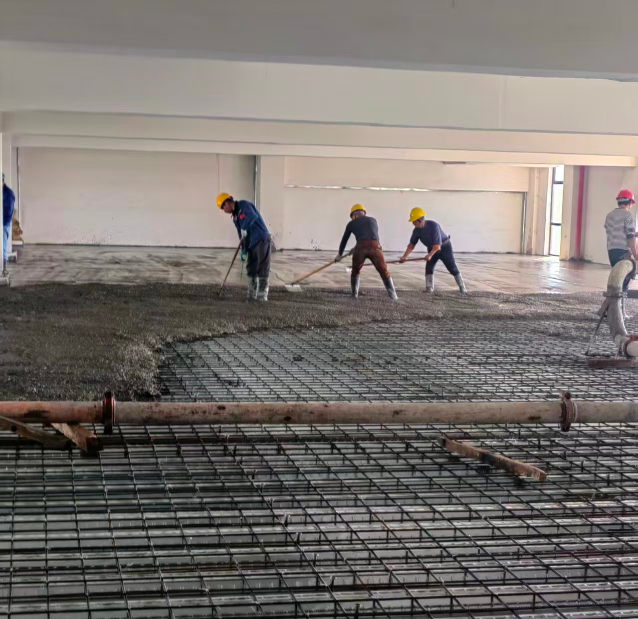 一码特精准资料