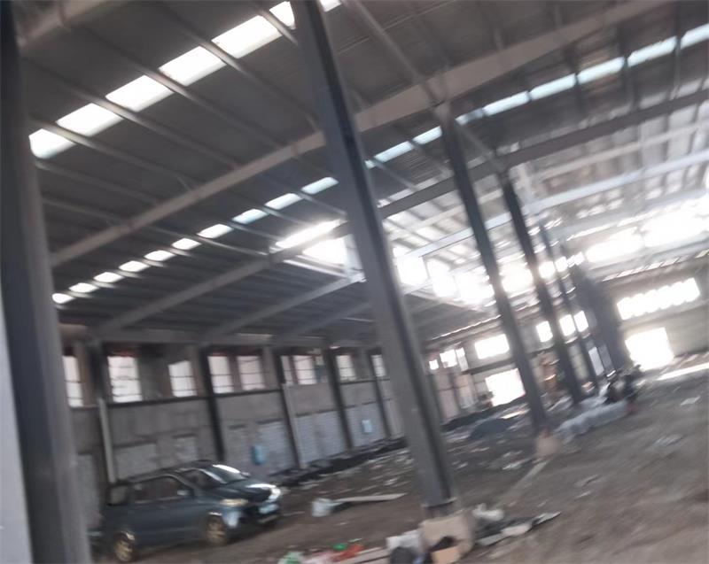 一码特精准资料