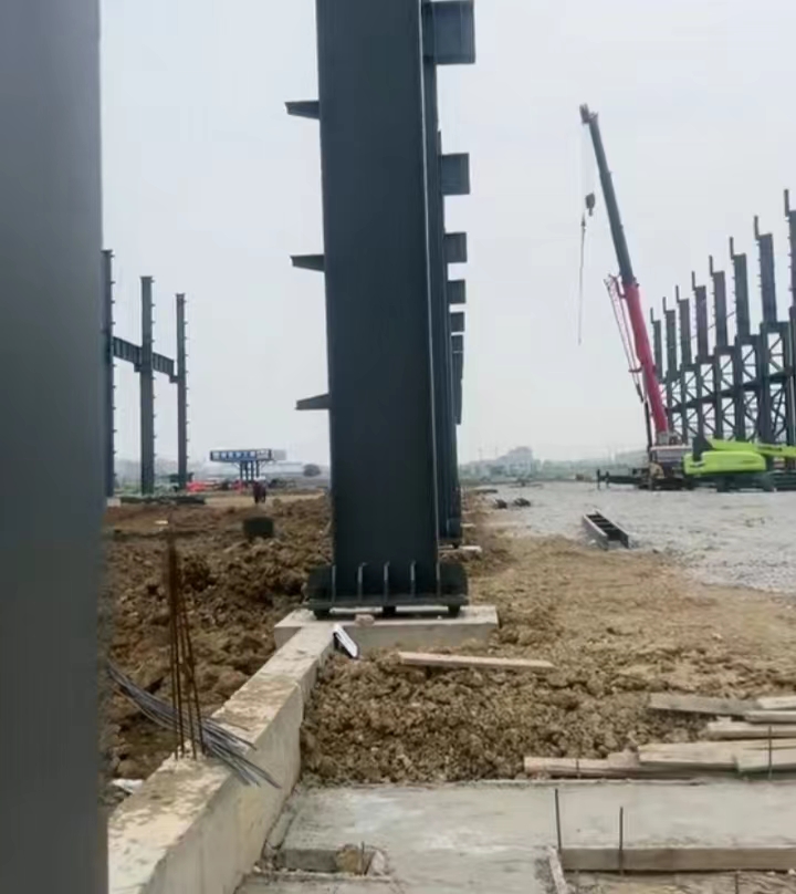 一码特精准资料