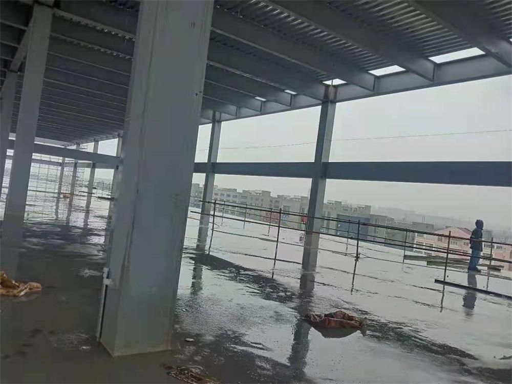 一码特精准资料